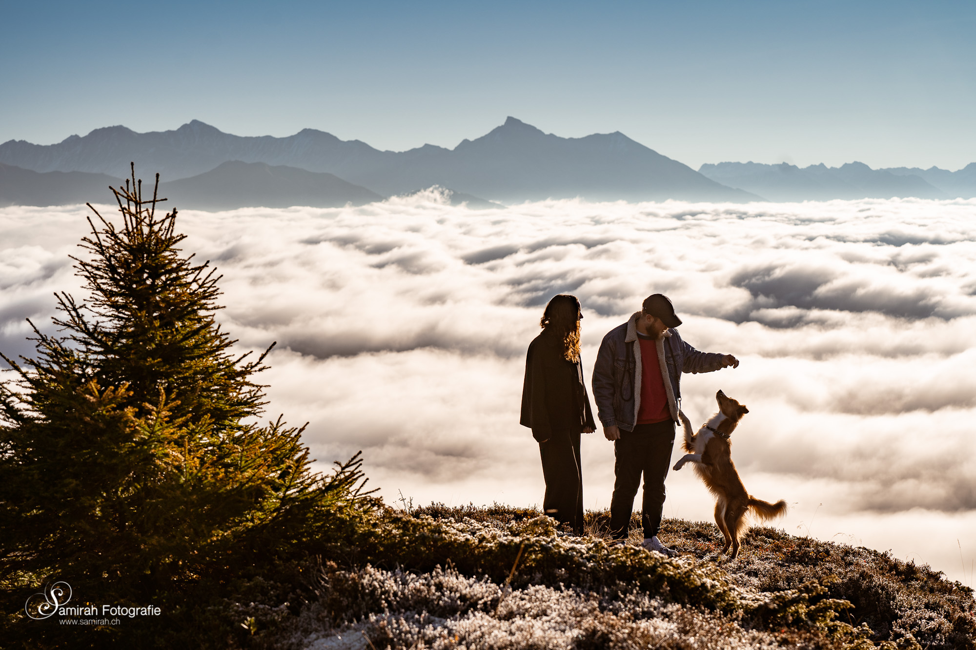 graubünden Hunde Abenteuer Fotoshooting in den Bergen nachher