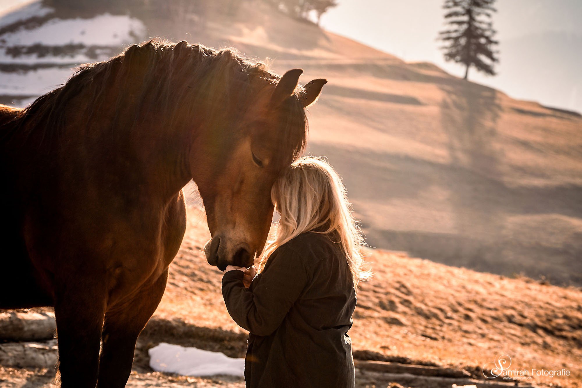 pferd und mensch harmonie fotografie