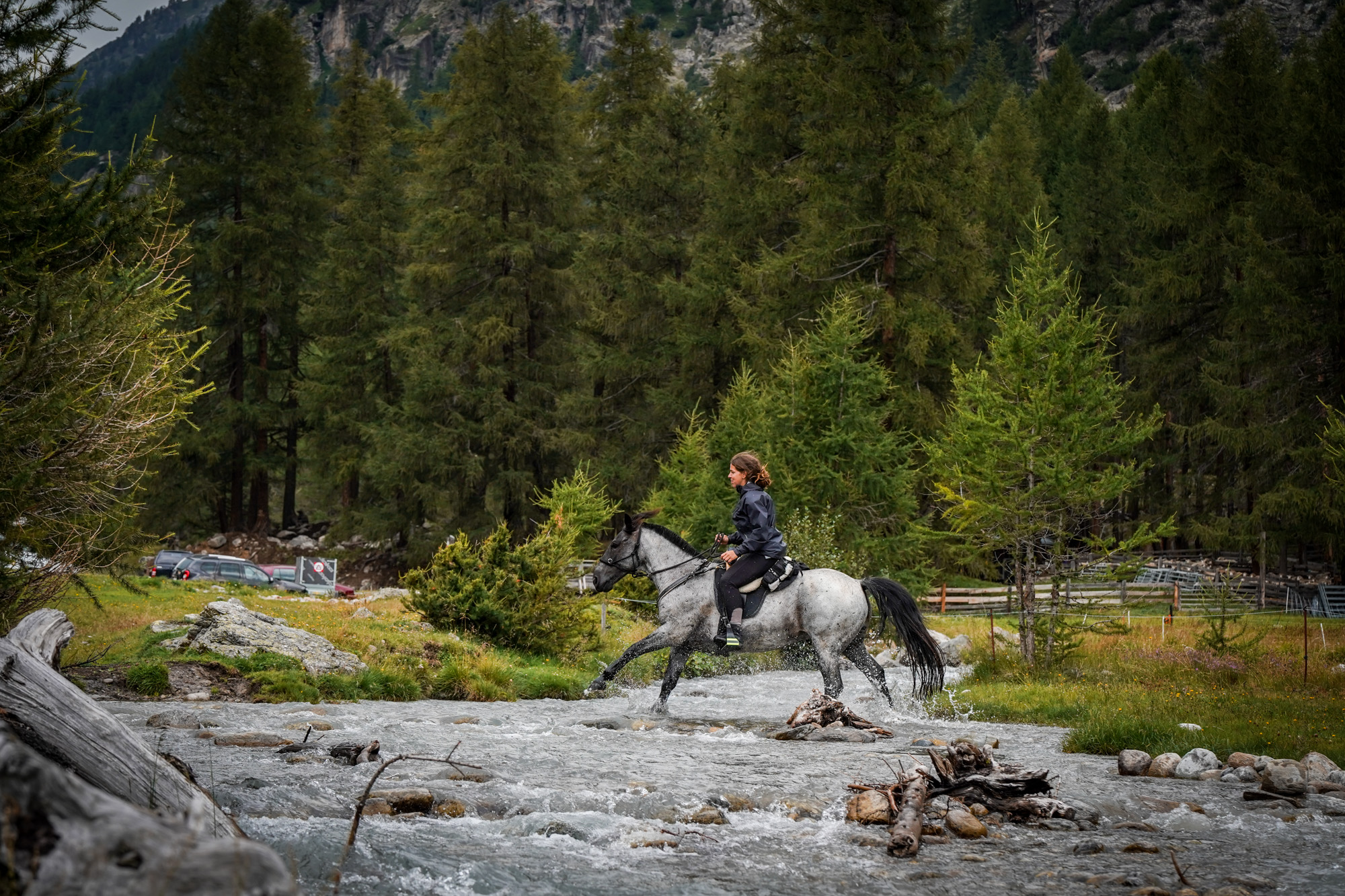 wanderreiten schweiz engadin berge fotograf pferde3