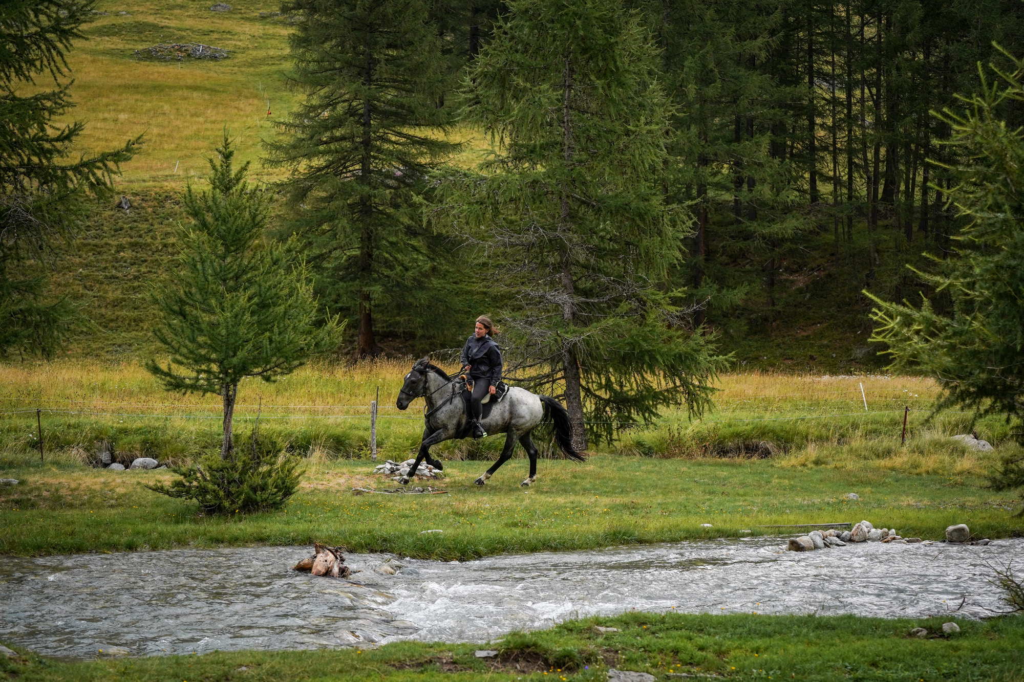 wanderreiten schweiz engadin berge fotograf pferde4