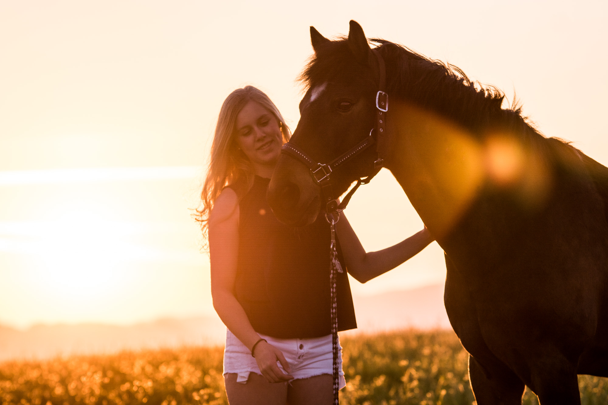 Pferde-Fotoshooting Sonnenaufgang